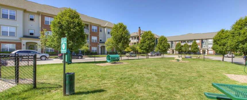 Picture of dog park in our West Lafayette apartment community